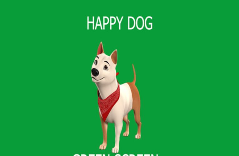 Dog green screen – happy dog animation